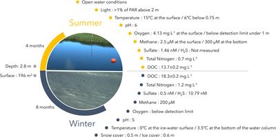 Contrasting Winter Versus Summer Microbial Communities and Metabolic Functions in a Permafrost <mark class="highlighted">Thaw</mark> Lake